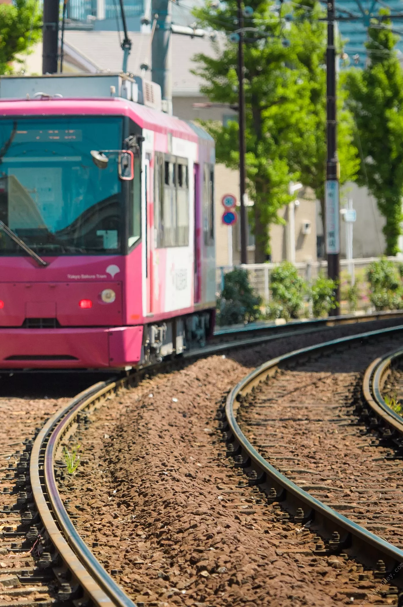 (127页) 小月兔~BRILLIANT_DAYS~_小月梅 【摄影集】