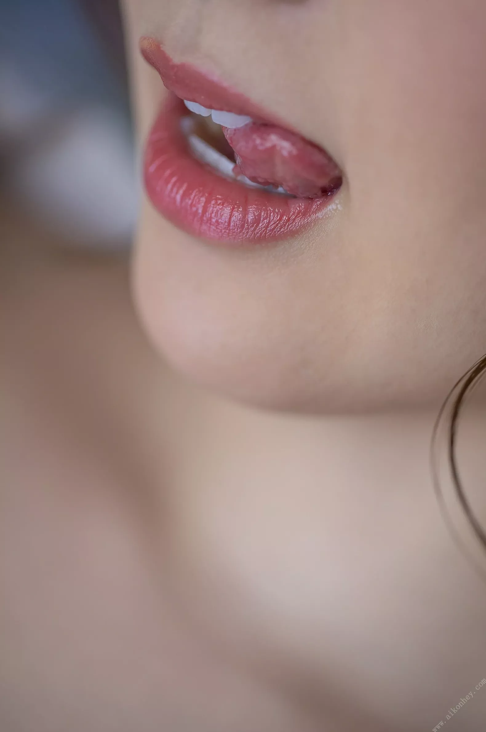 写真集 数位写真集 北野美奈全裸 《Hospitality》每周热度 (91P)