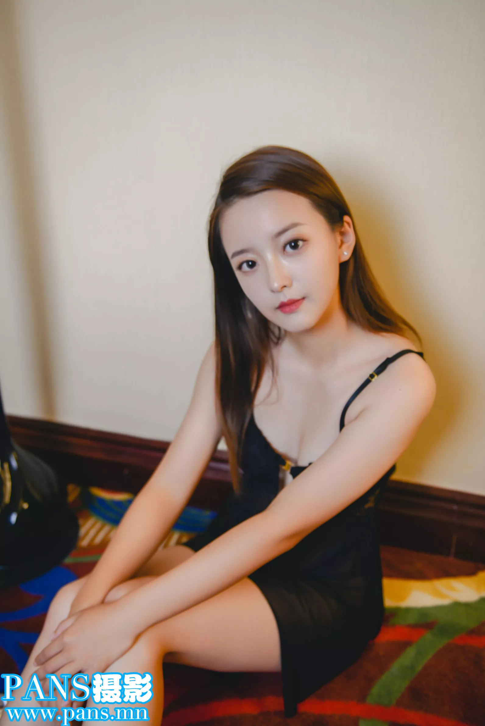 PANS 英英 �C 485 No.