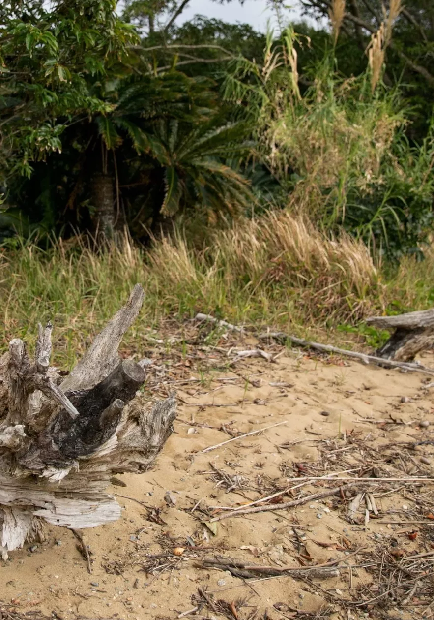 Shot》 写真集 (88P) 宫园琴音第一 《First