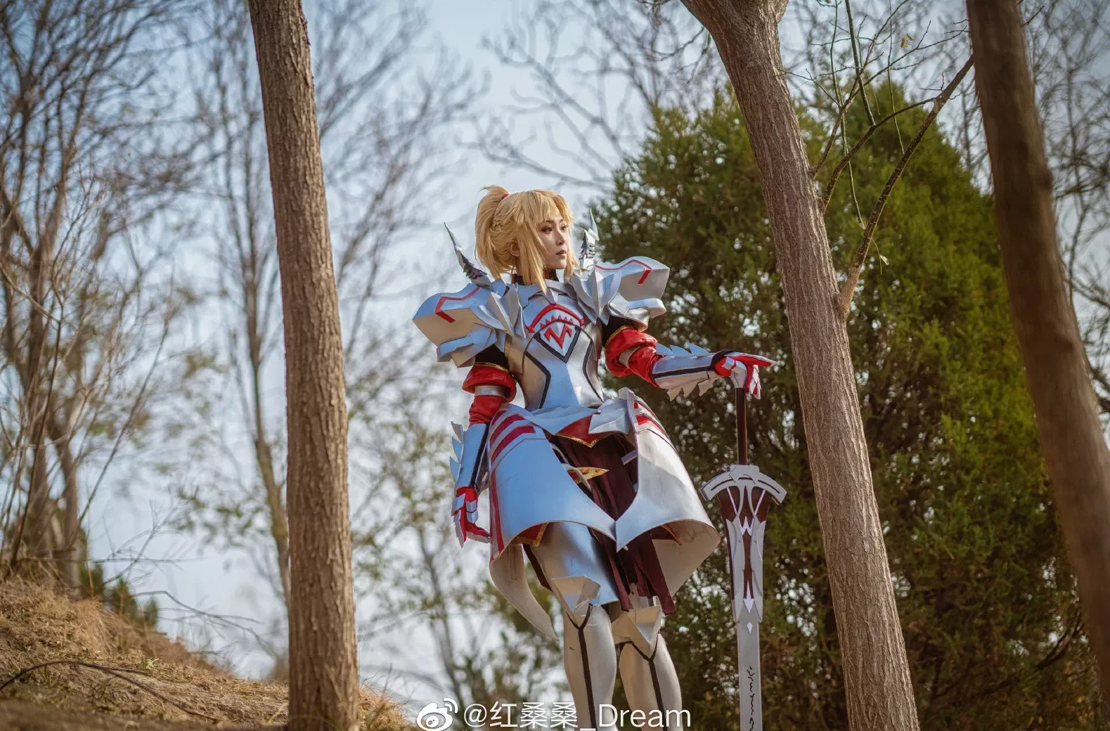 莫德雷德 FateGrand 红桑桑_Dream Order 美女cosplay (9P)