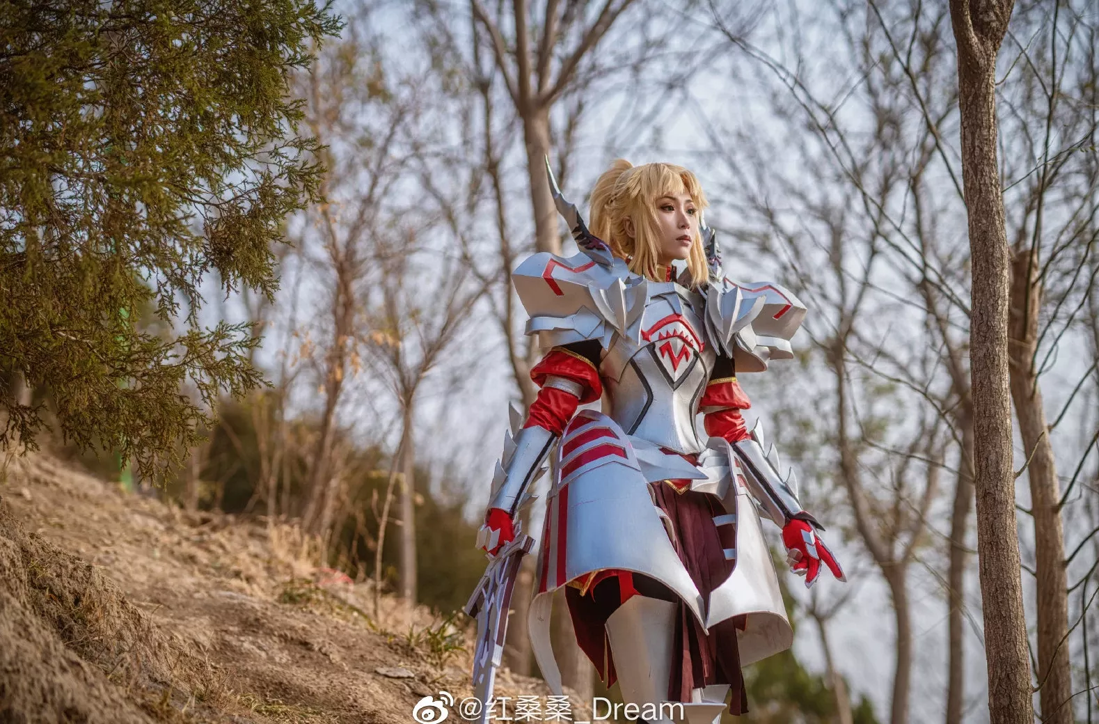 莫德雷德 FateGrand 红桑桑_Dream Order 美女cosplay (9P)