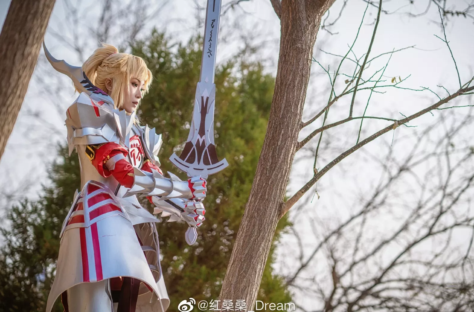 莫德雷德 FateGrand 红桑桑_Dream Order 美女cosplay (9P)