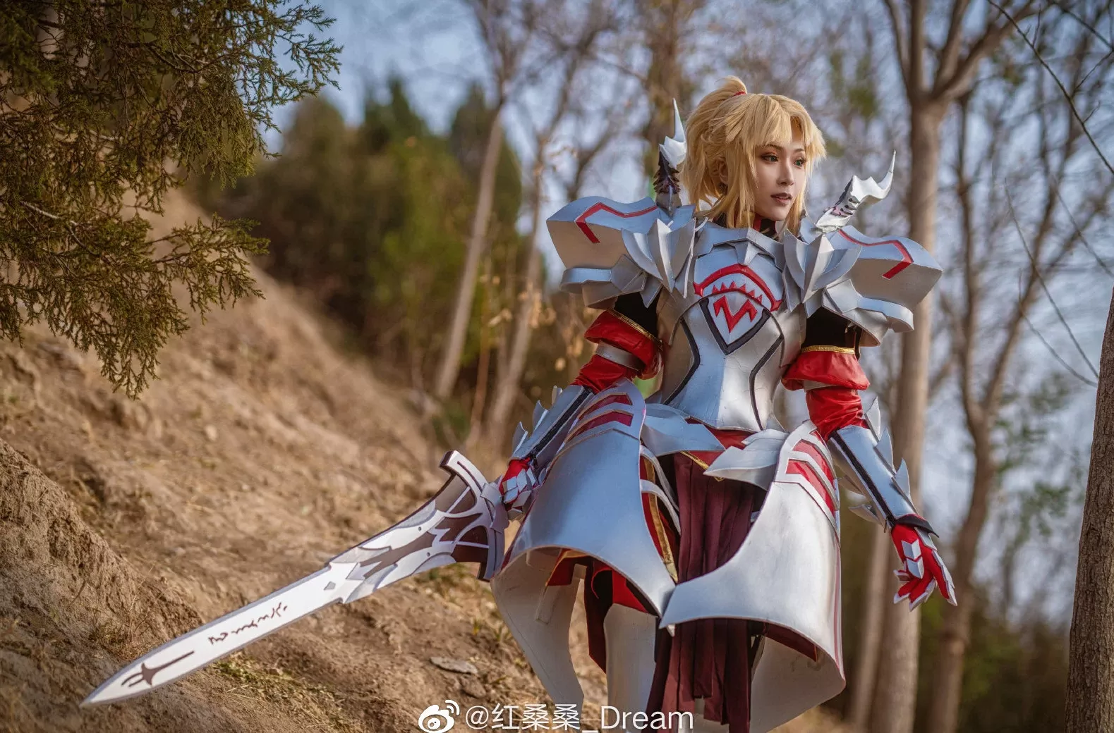 莫德雷德 FateGrand 红桑桑_Dream Order 美女cosplay (9P)