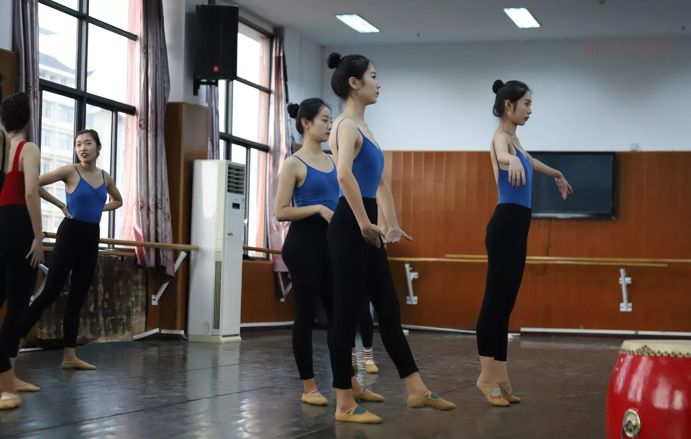 舞蹈芭裤5【126P】 W003 【大西瓜图集】