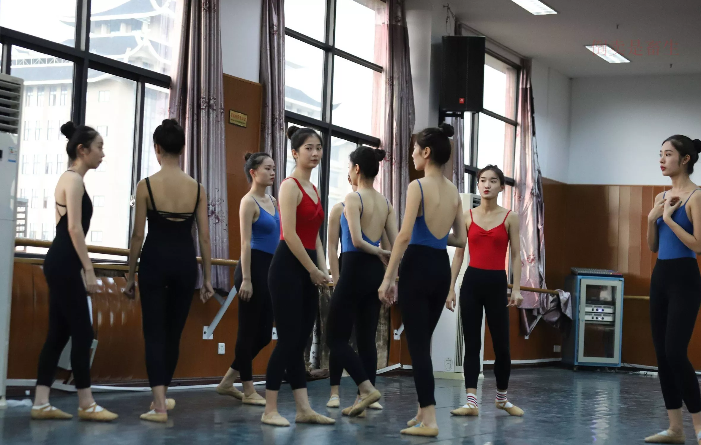 舞蹈芭裤5【126P】 W003 【大西瓜图集】