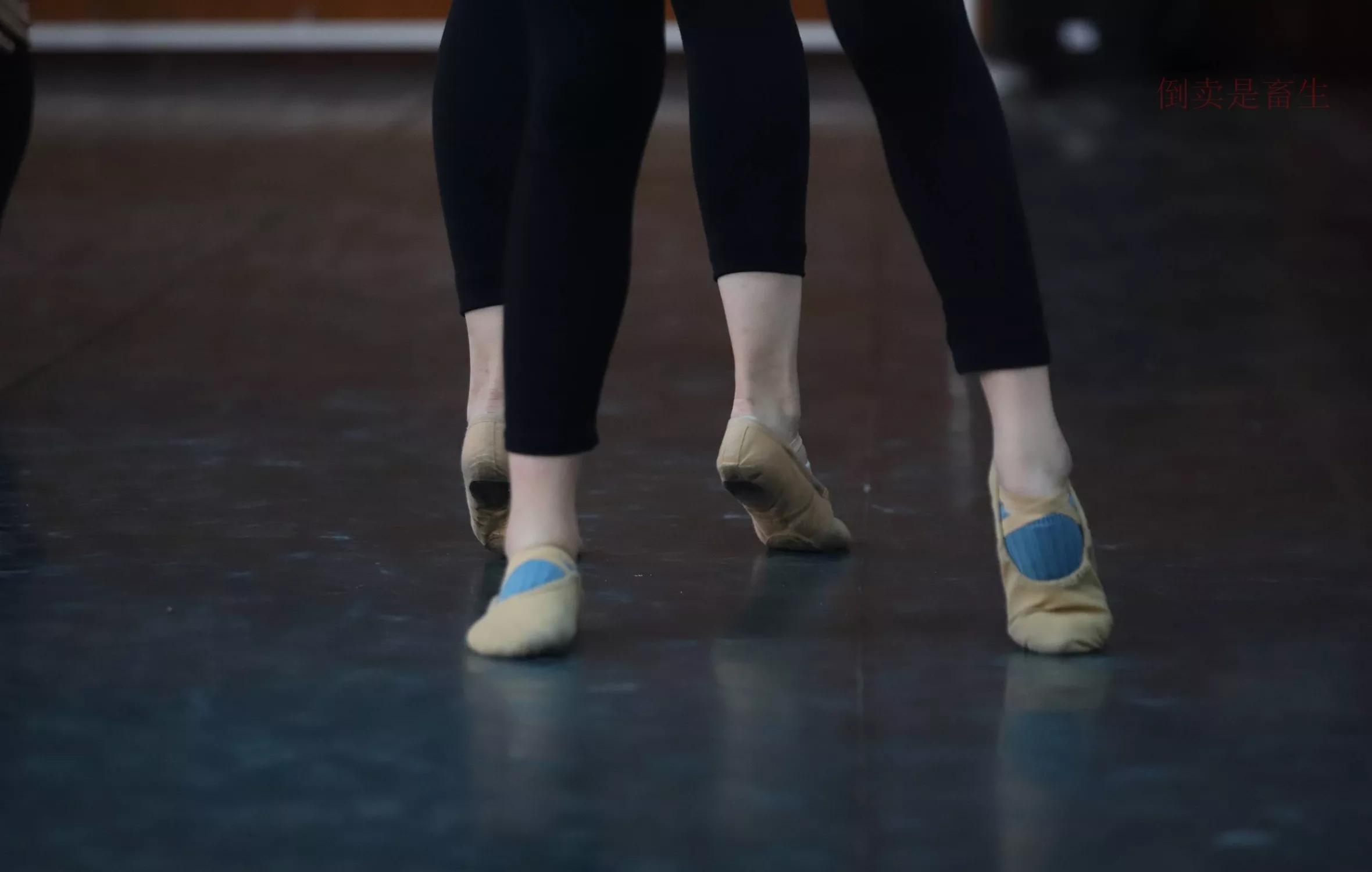 舞蹈芭裤5【126P】 W003 【大西瓜图集】