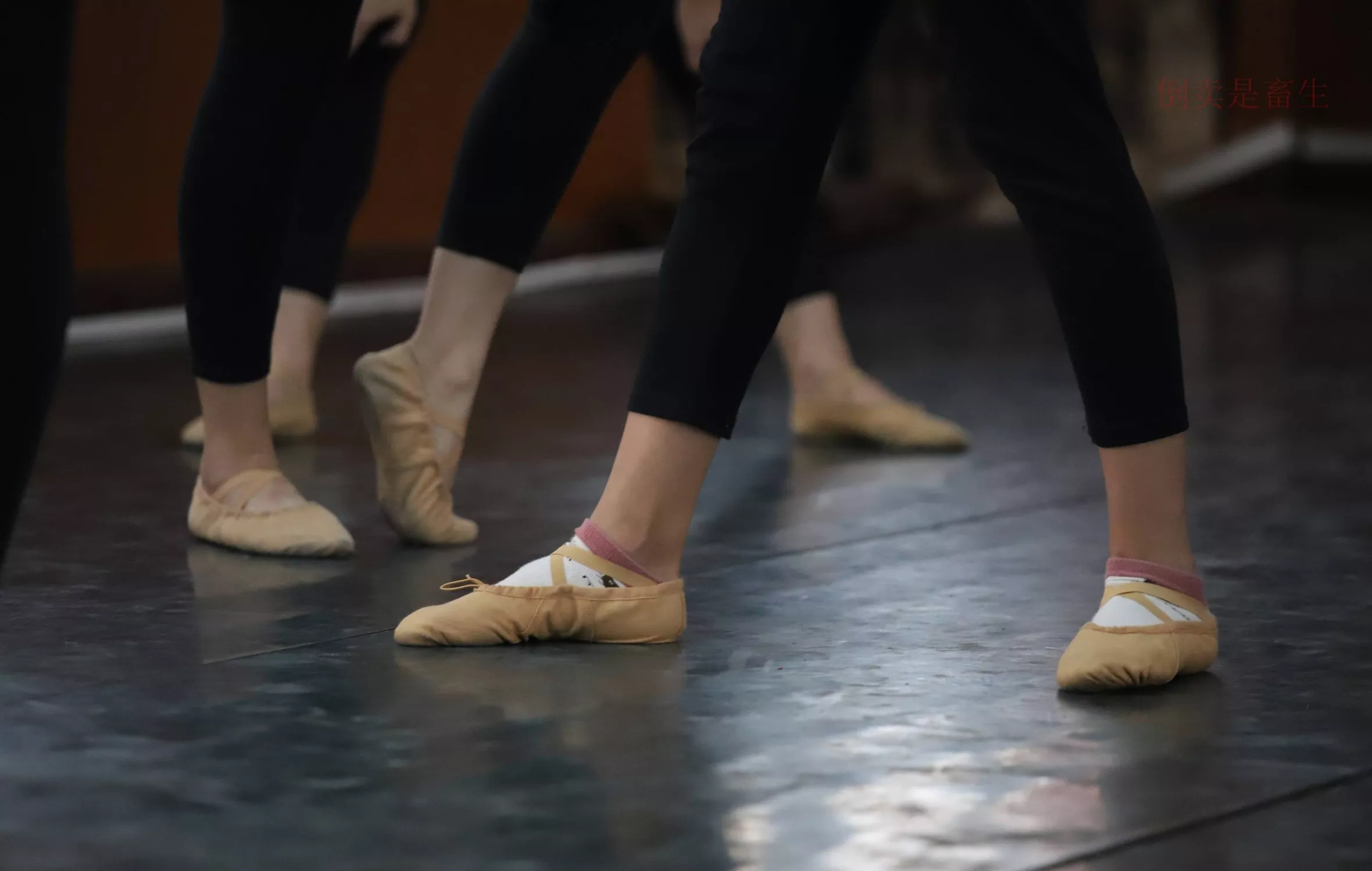 舞蹈芭裤5【126P】 W003 【大西瓜图集】