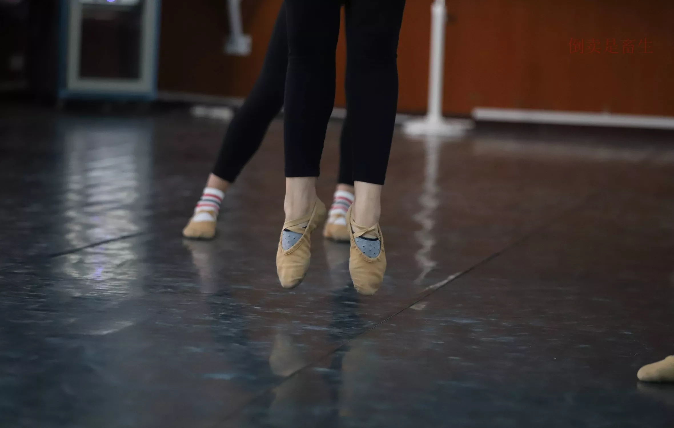 舞蹈芭裤5【126P】 W003 【大西瓜图集】