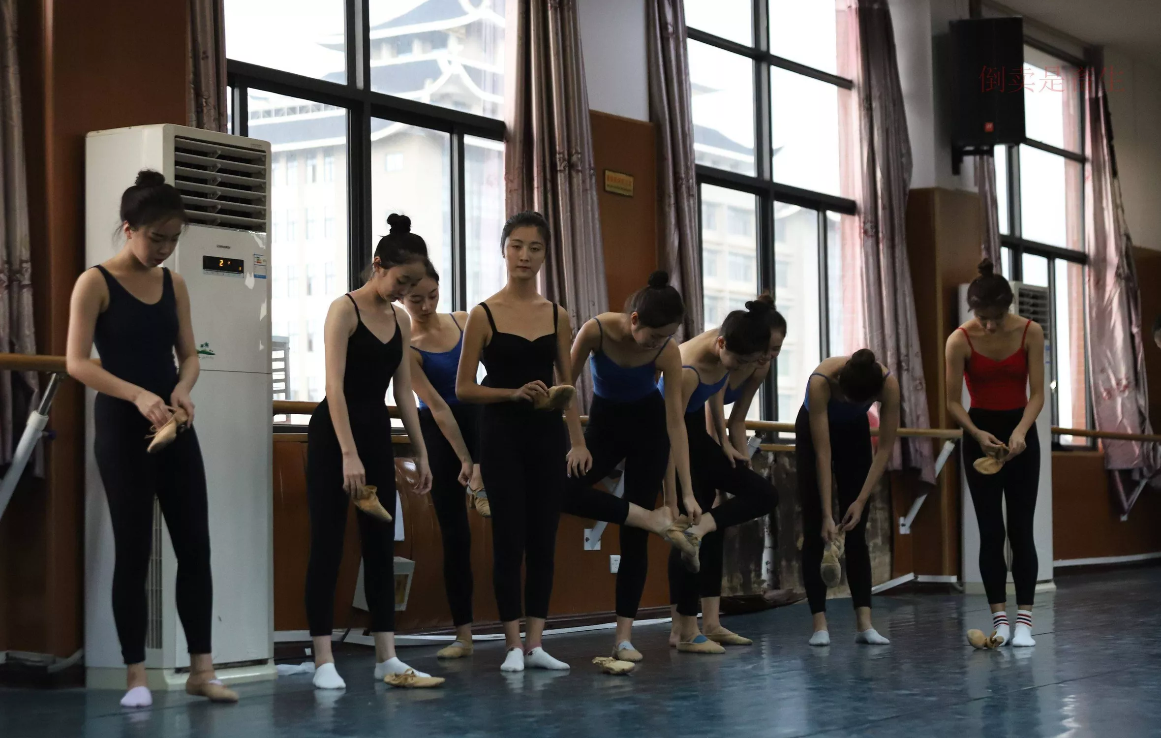 舞蹈芭裤5【126P】 W003 【大西瓜图集】