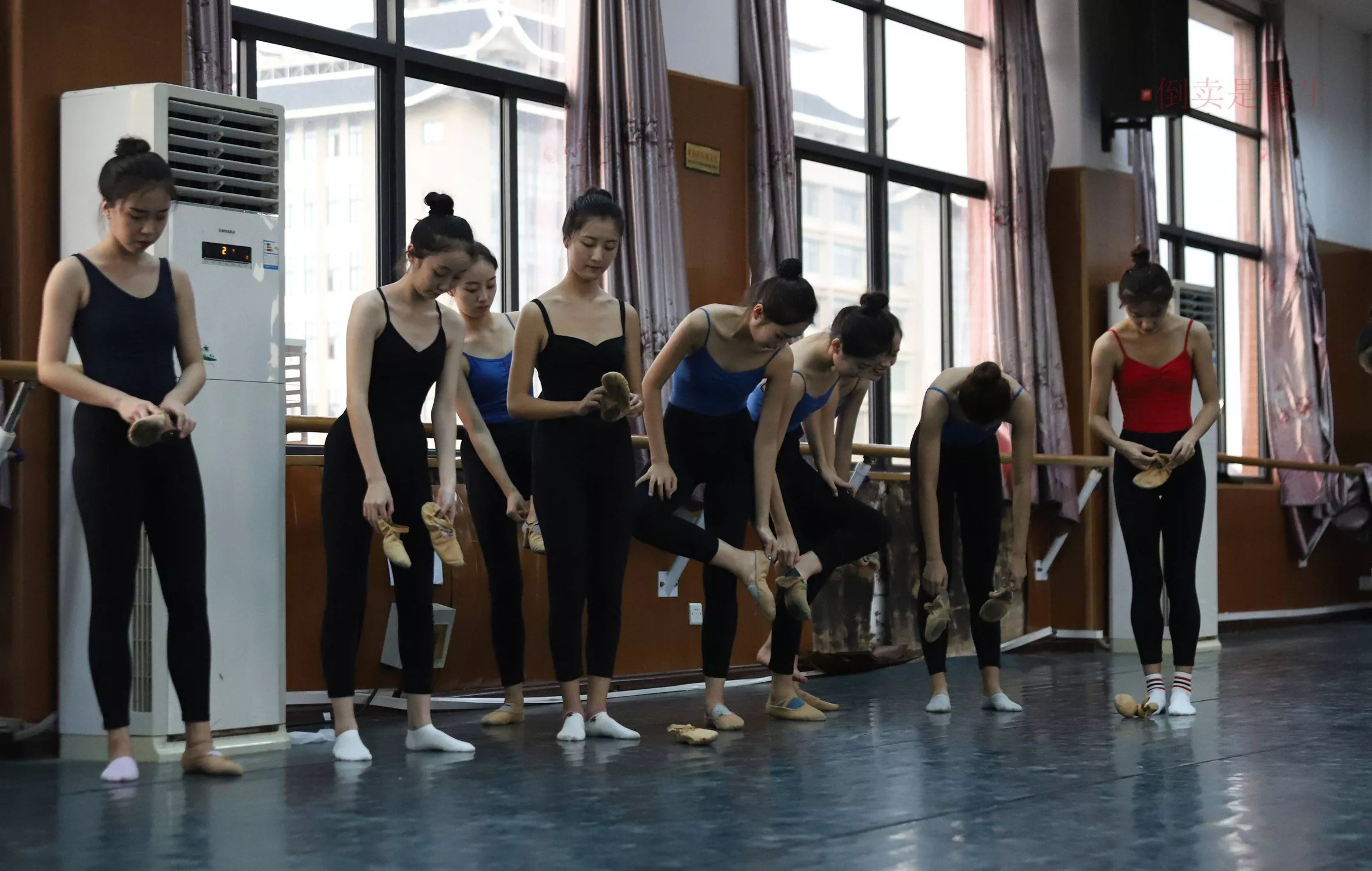 舞蹈芭裤5【126P】 W003 【大西瓜图集】