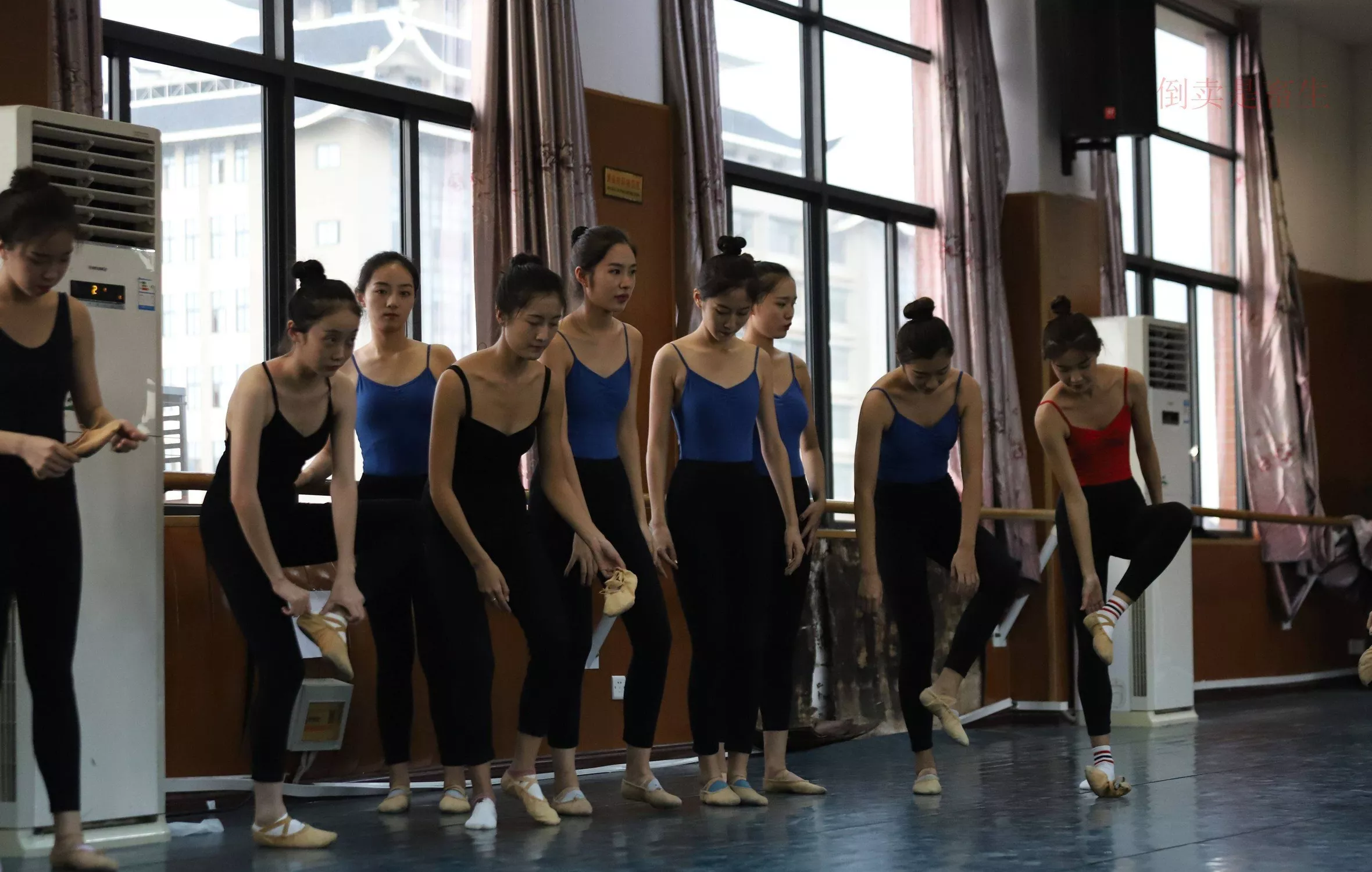 舞蹈芭裤5【126P】 W003 【大西瓜图集】