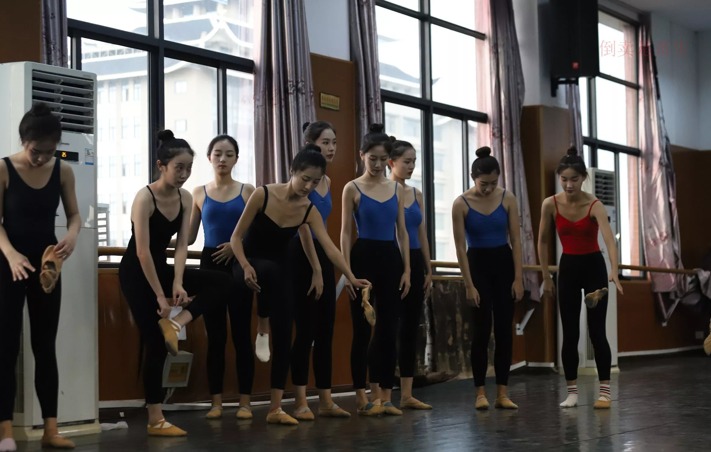 舞蹈芭裤5【126P】 W003 【大西瓜图集】