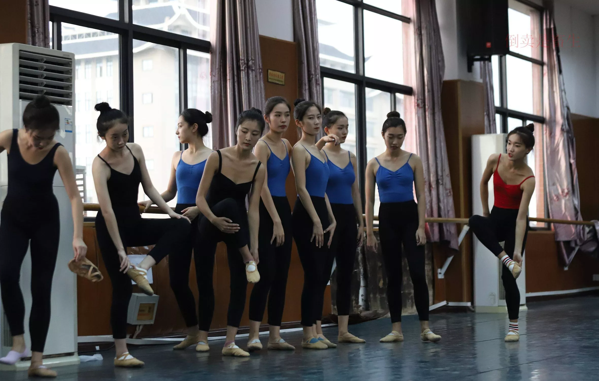 舞蹈芭裤5【126P】 W003 【大西瓜图集】