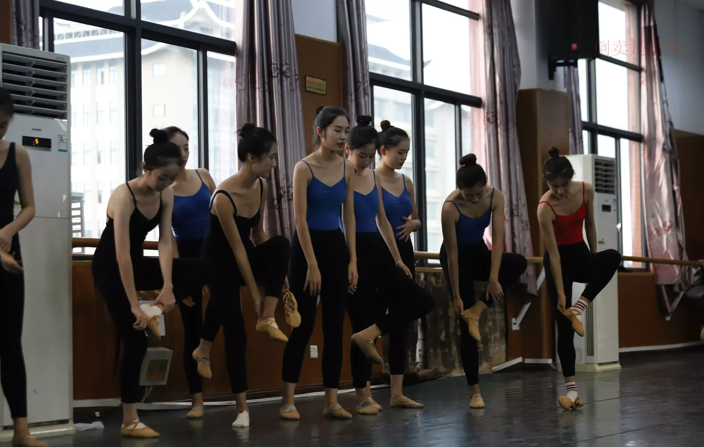 舞蹈芭裤5【126P】 W003 【大西瓜图集】