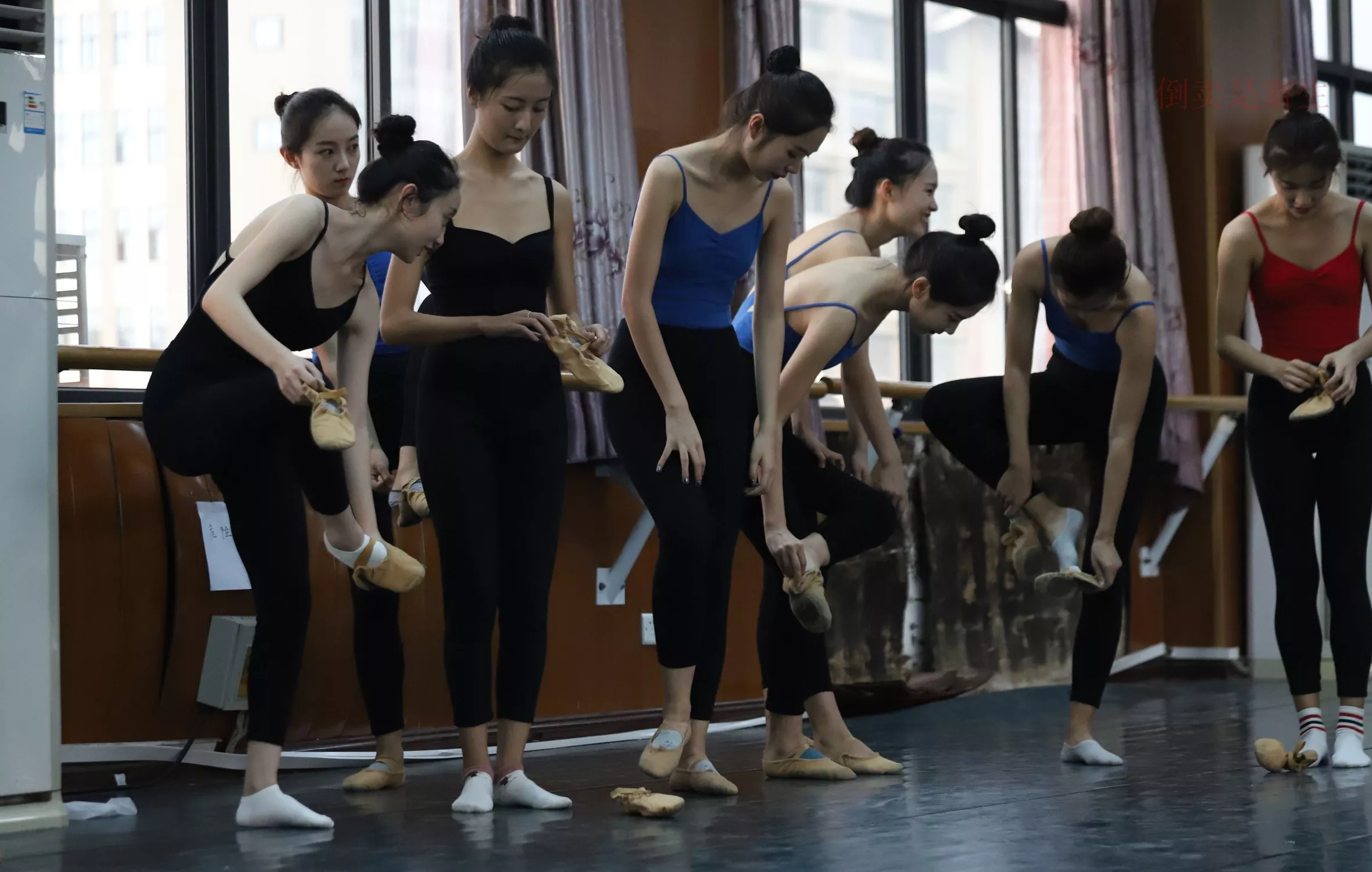 舞蹈芭裤5【126P】 W003 【大西瓜图集】