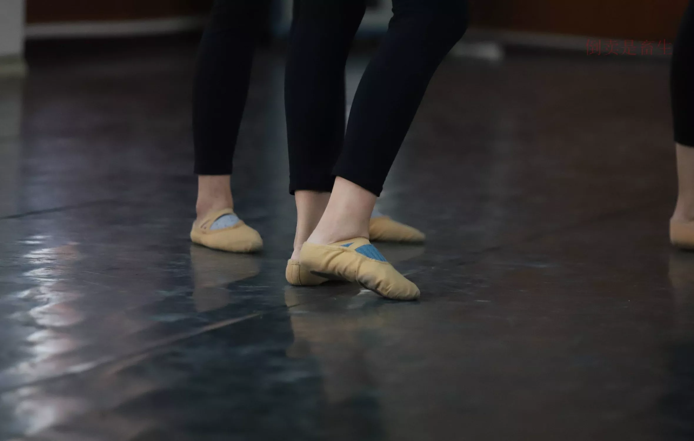 舞蹈芭裤5【126P】 W003 【大西瓜图集】