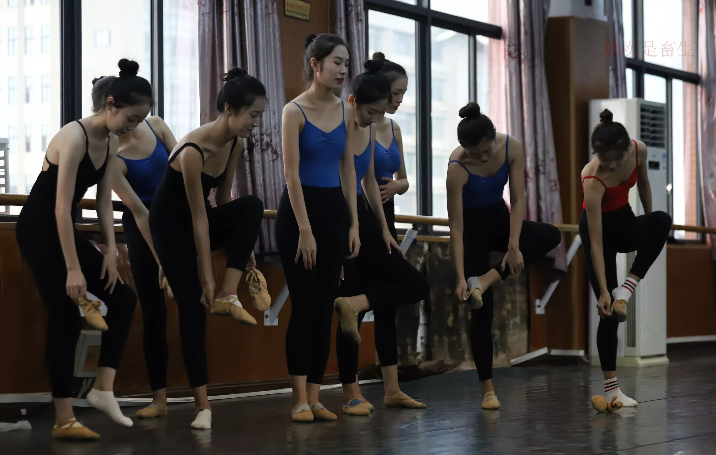 舞蹈芭裤5【126P】 W003 【大西瓜图集】