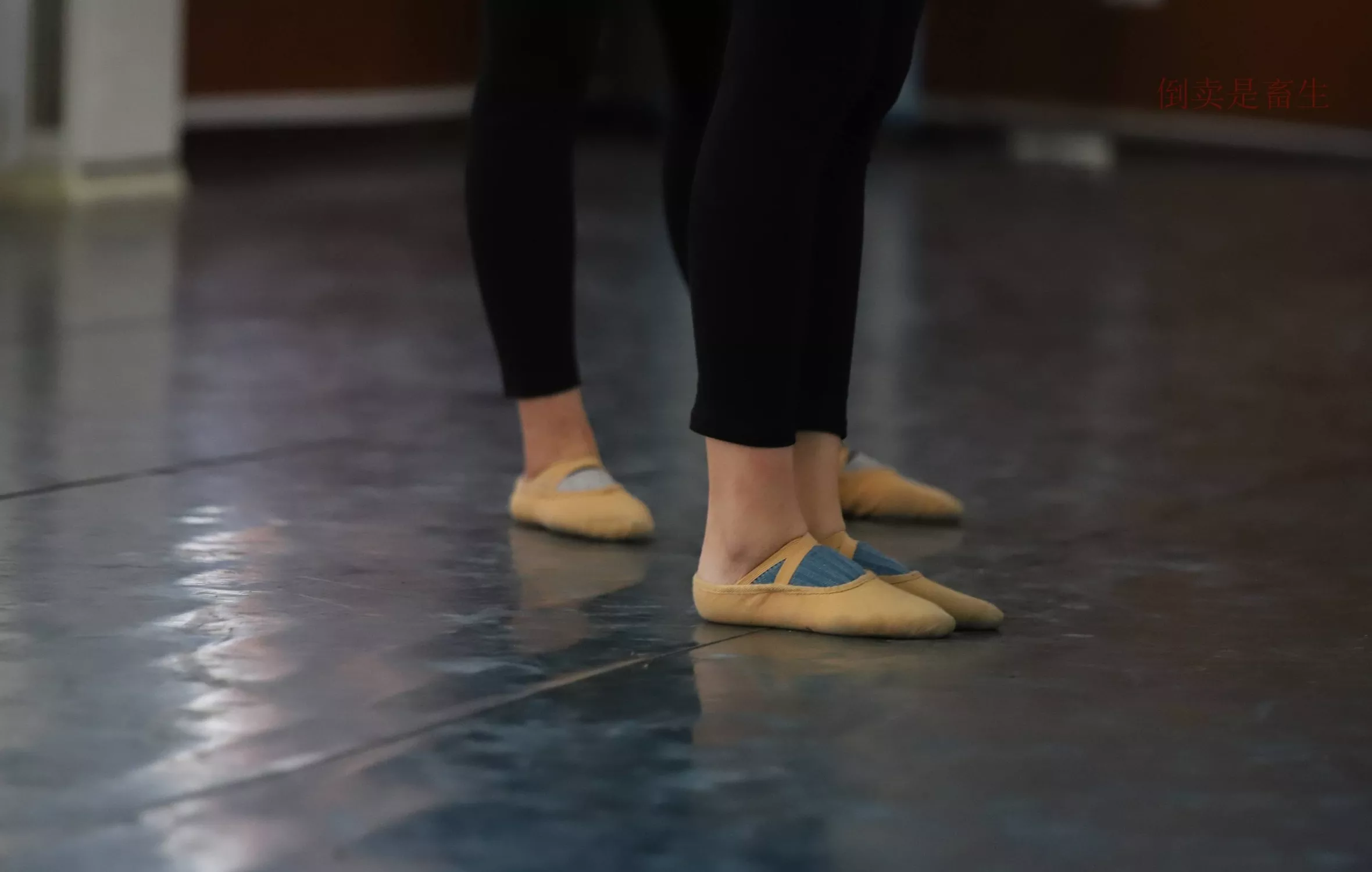 舞蹈芭裤5【126P】 W003 【大西瓜图集】