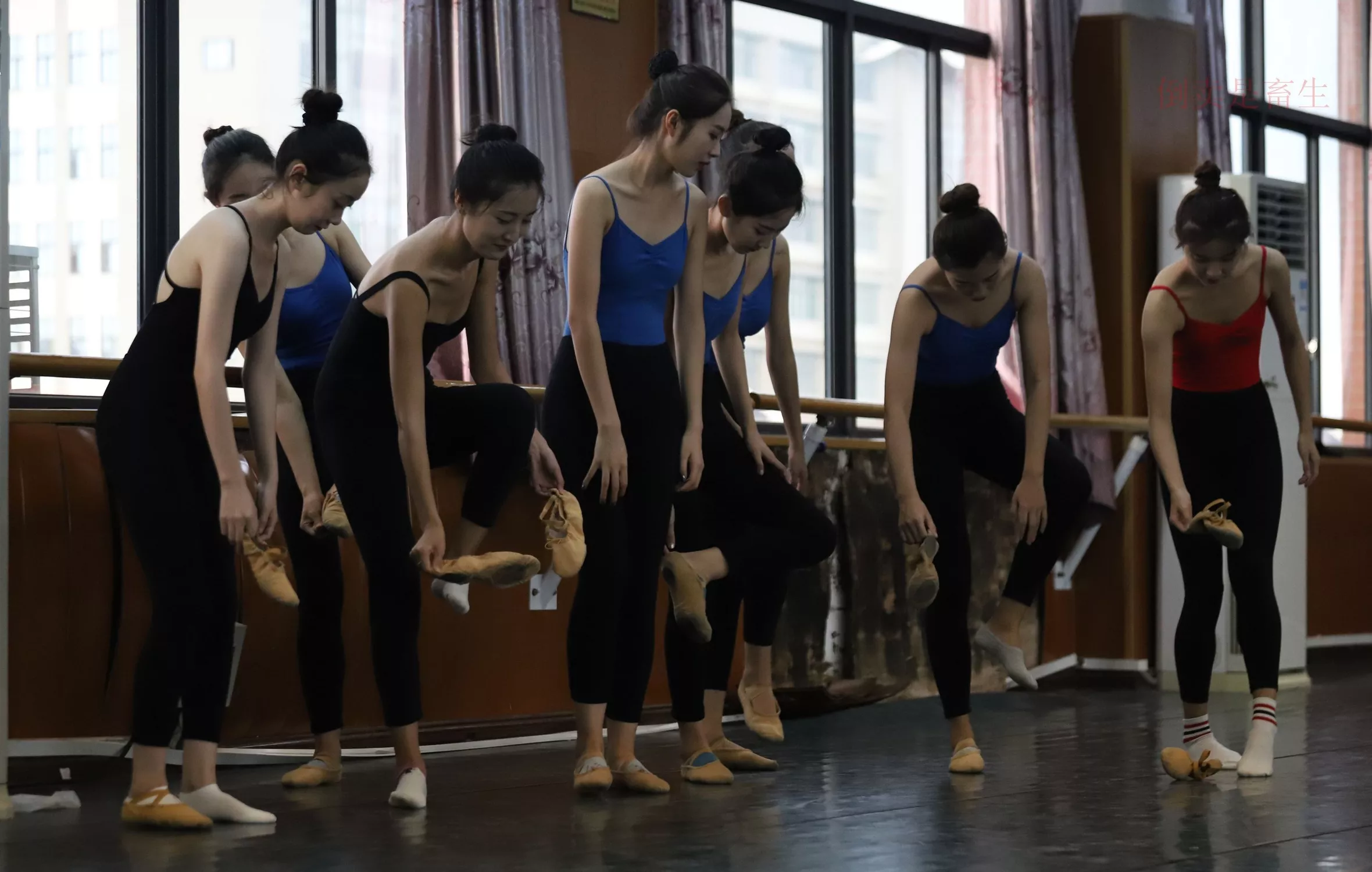 舞蹈芭裤5【126P】 W003 【大西瓜图集】