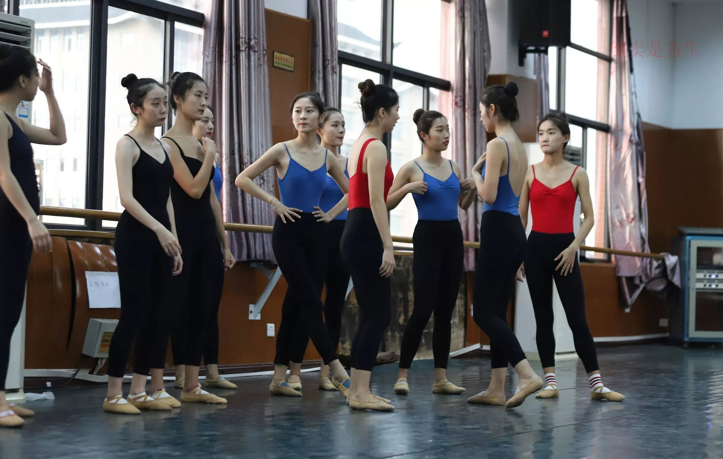 舞蹈芭裤5【126P】 W003 【大西瓜图集】