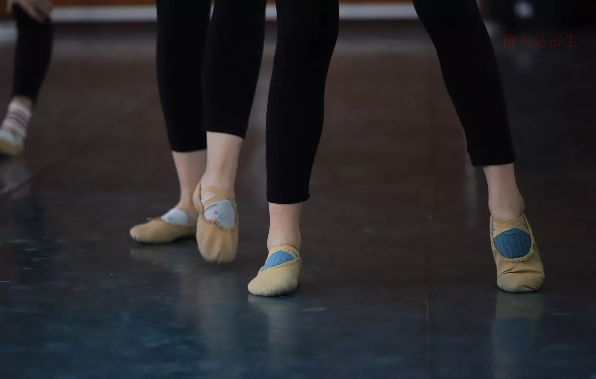 舞蹈芭裤5【126P】 W003 【大西瓜图集】