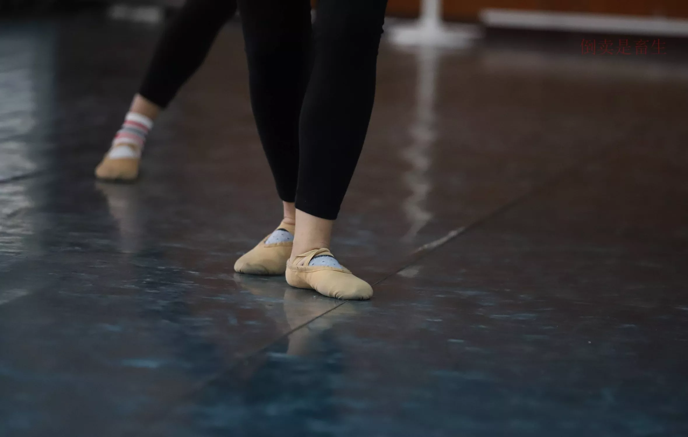 舞蹈芭裤5【126P】 W003 【大西瓜图集】