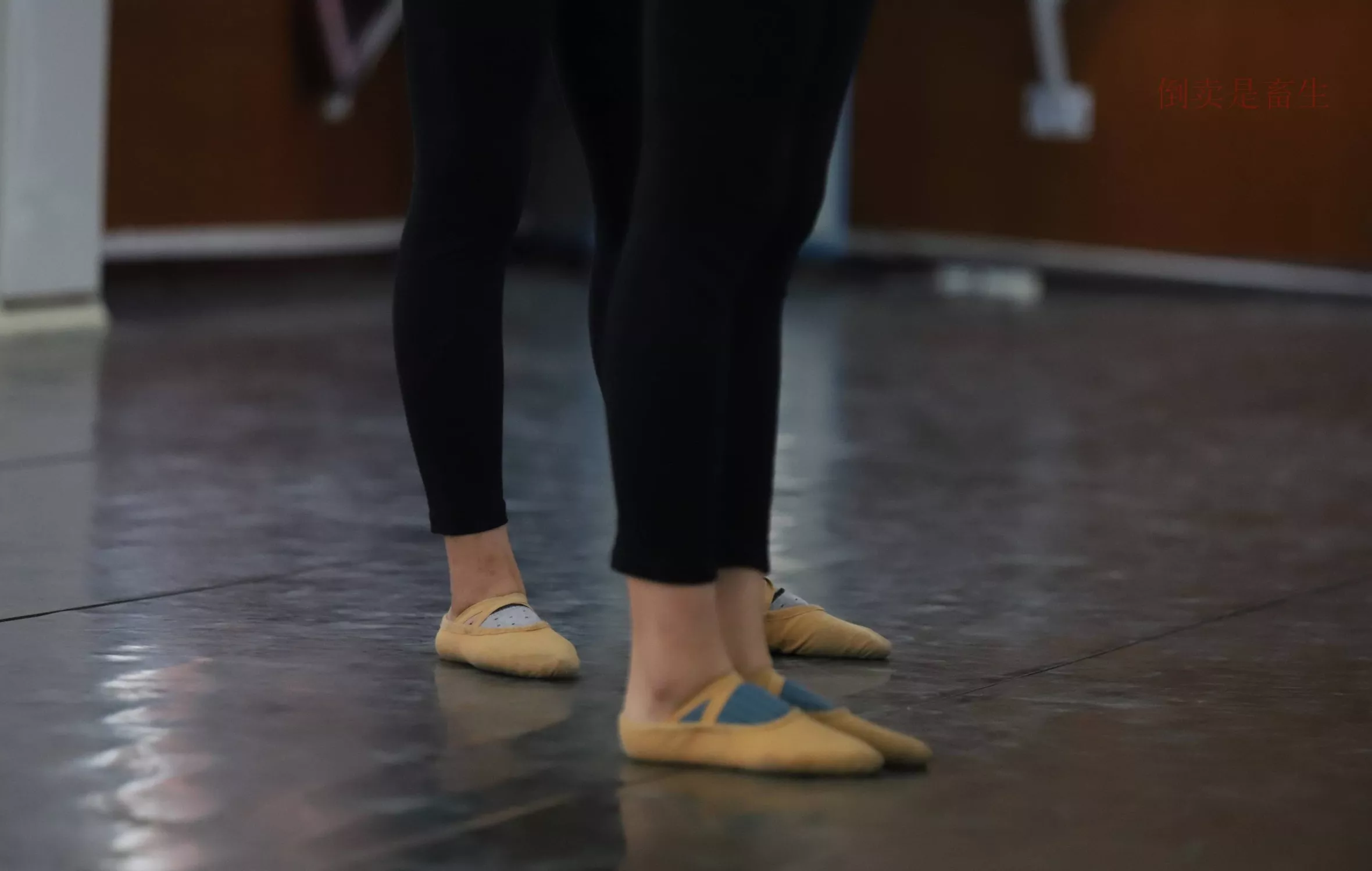 舞蹈芭裤5【126P】 W003 【大西瓜图集】