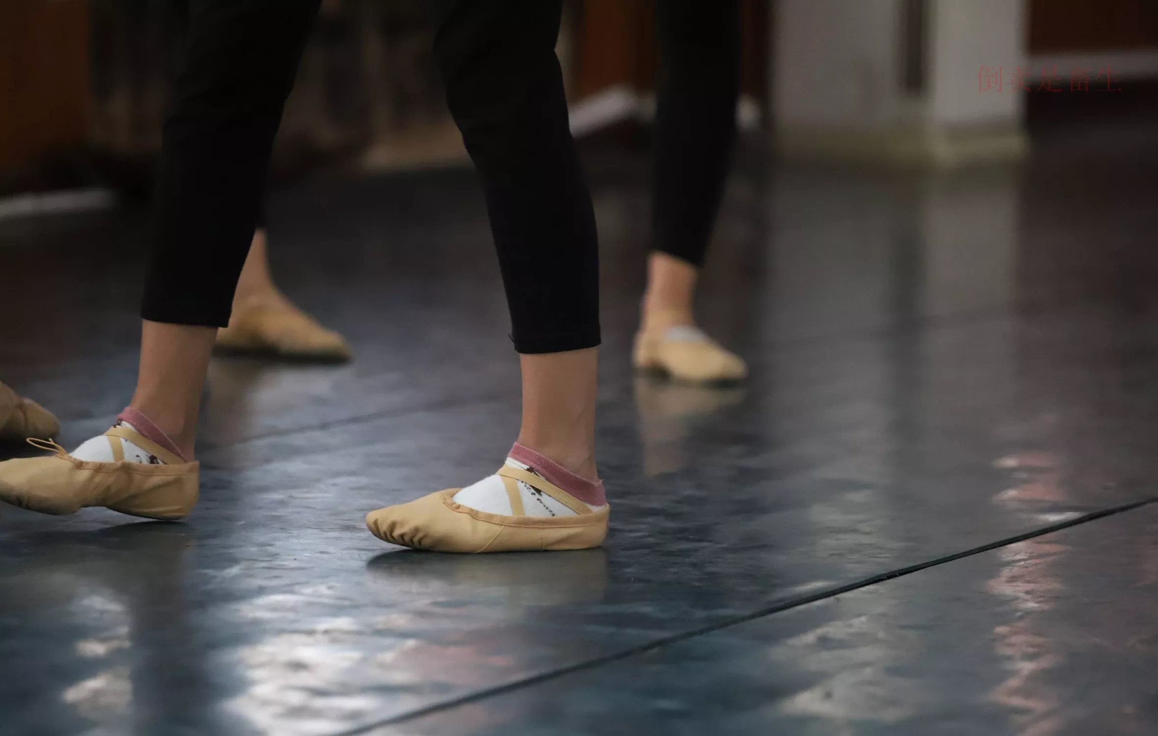 舞蹈芭裤5【126P】 W003 【大西瓜图集】