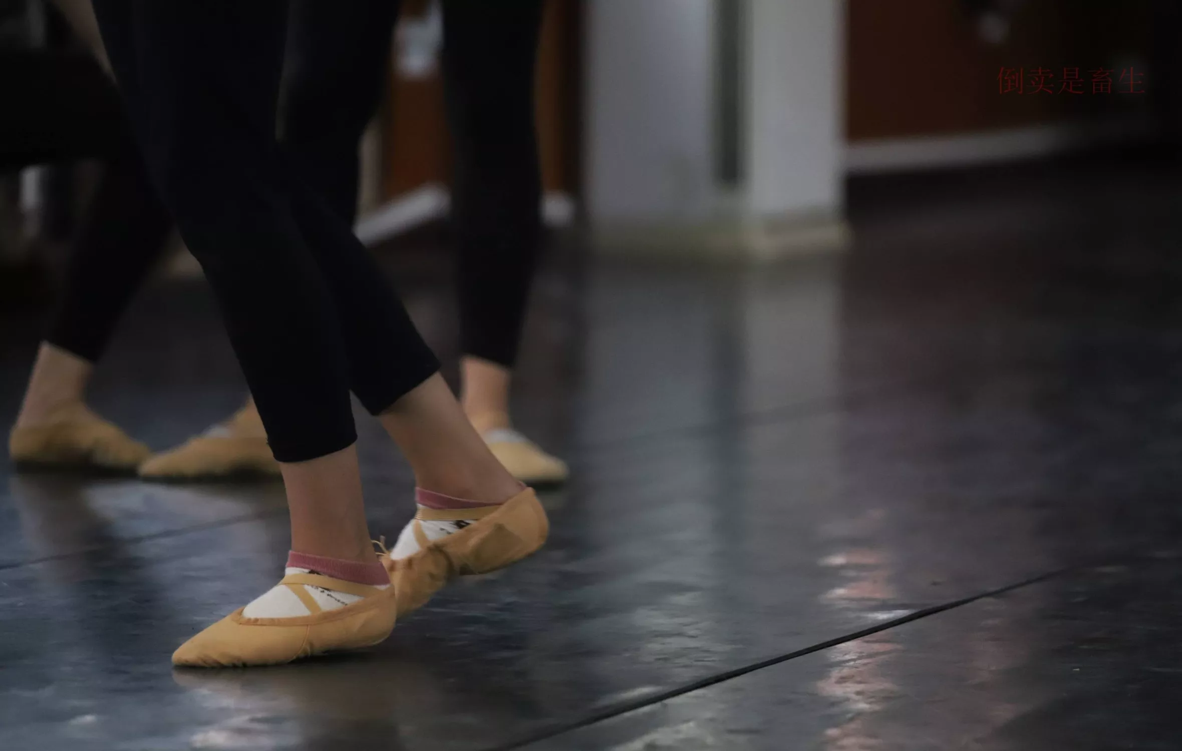 舞蹈芭裤5【126P】 W003 【大西瓜图集】