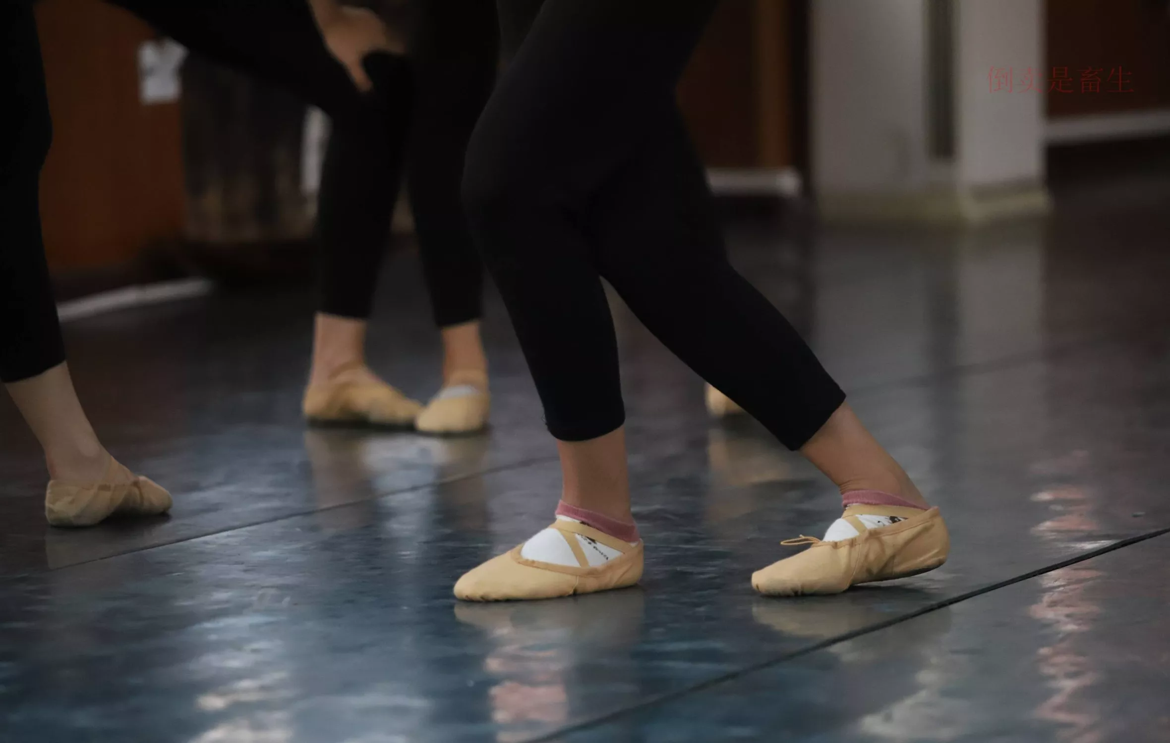 舞蹈芭裤5【126P】 W003 【大西瓜图集】