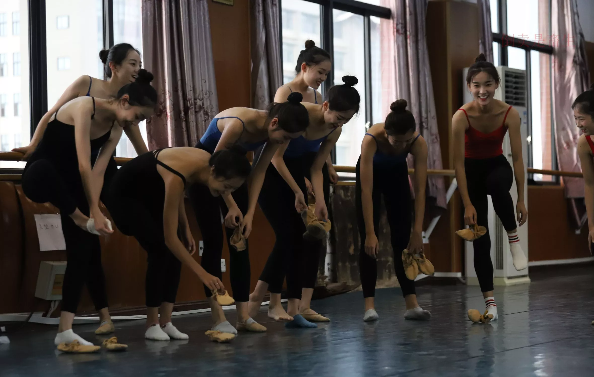 舞蹈芭裤5【126P】 W003 【大西瓜图集】