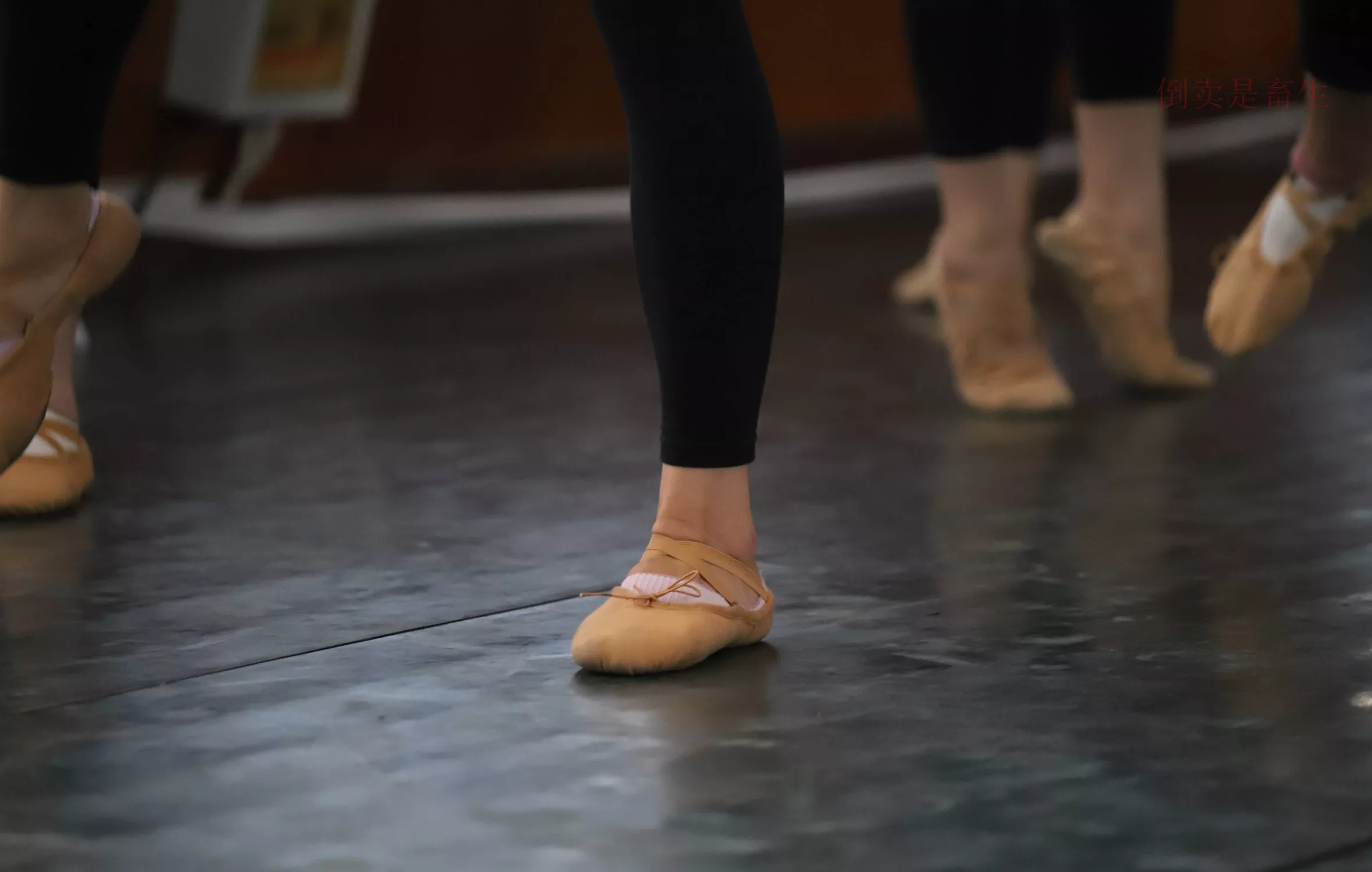 舞蹈芭裤5【126P】 W003 【大西瓜图集】