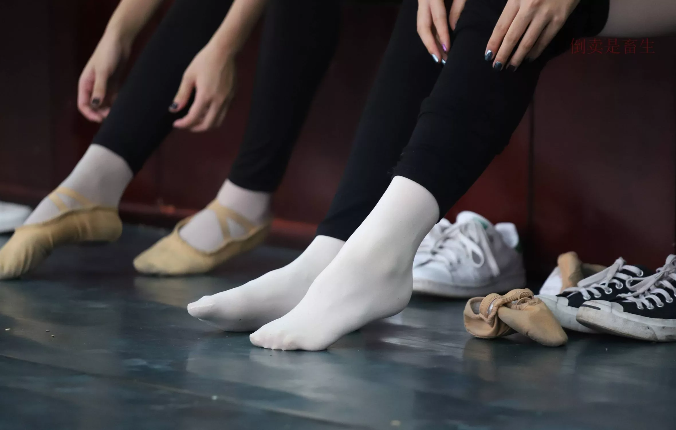 舞蹈芭裤5【126P】 W003 【大西瓜图集】