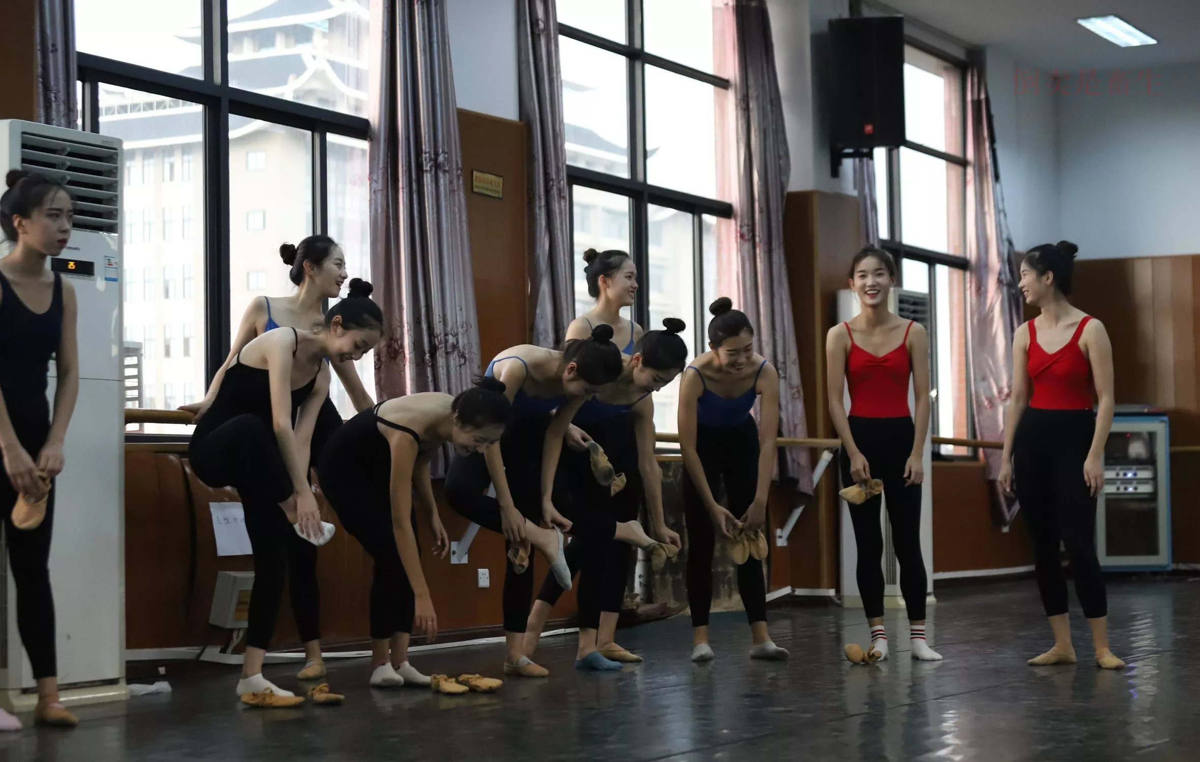 舞蹈芭裤5【126P】 W003 【大西瓜图集】