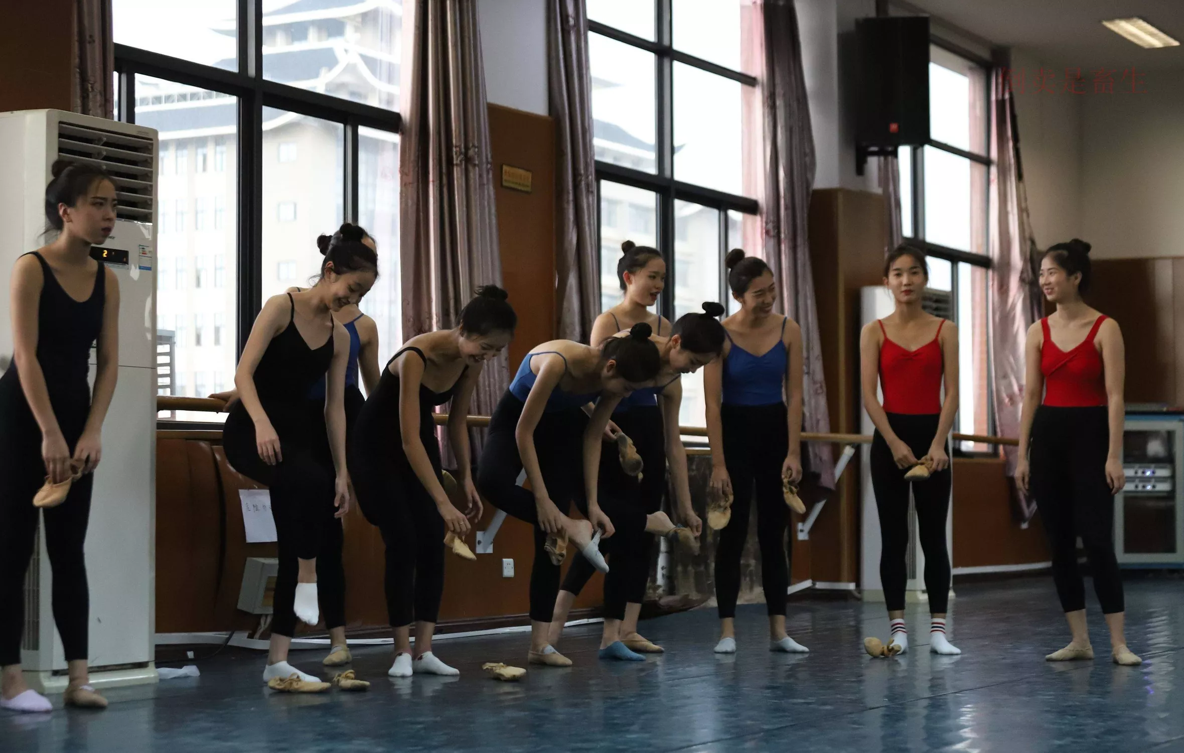 舞蹈芭裤5【126P】 W003 【大西瓜图集】