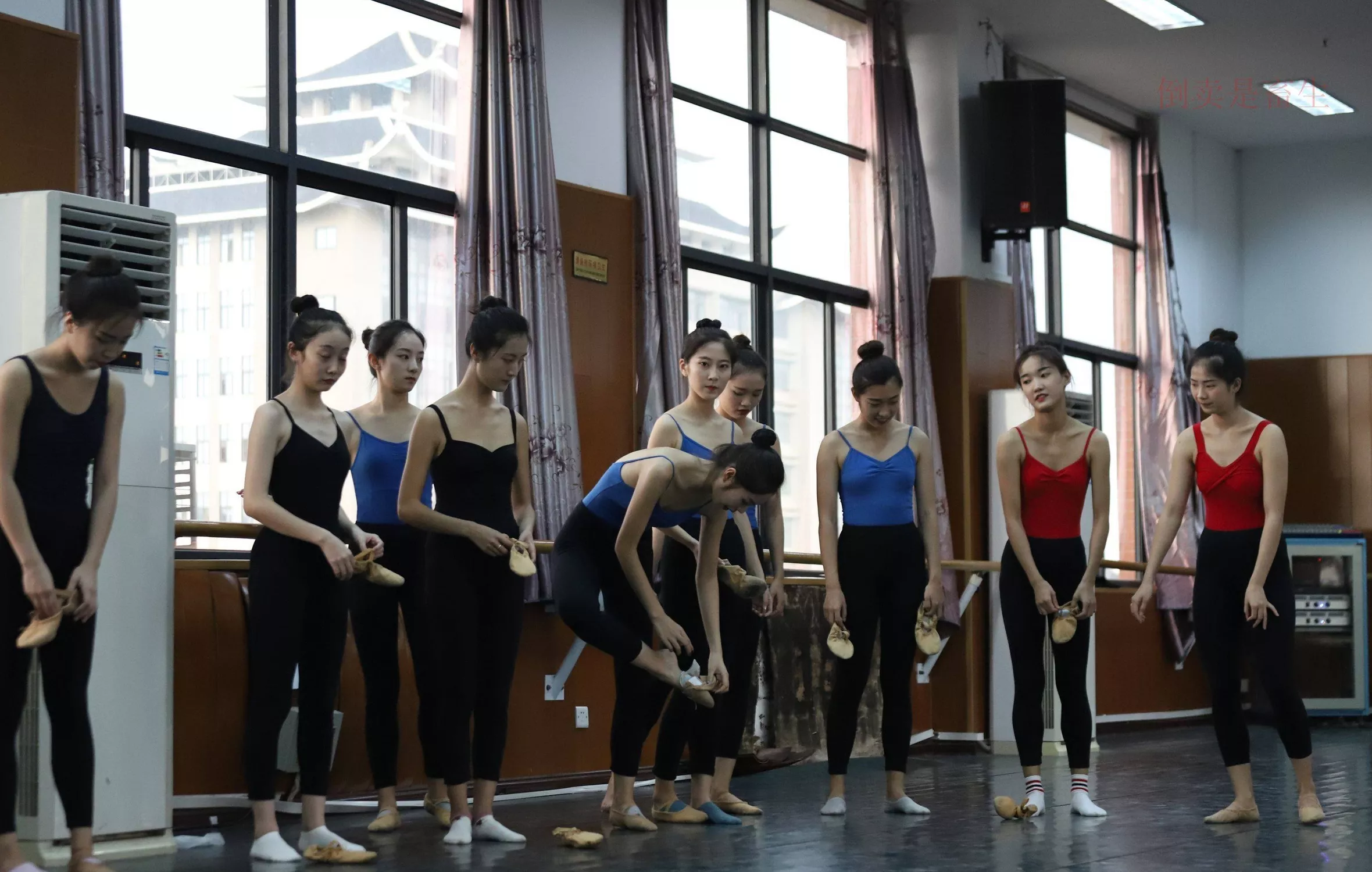 舞蹈芭裤5【126P】 W003 【大西瓜图集】