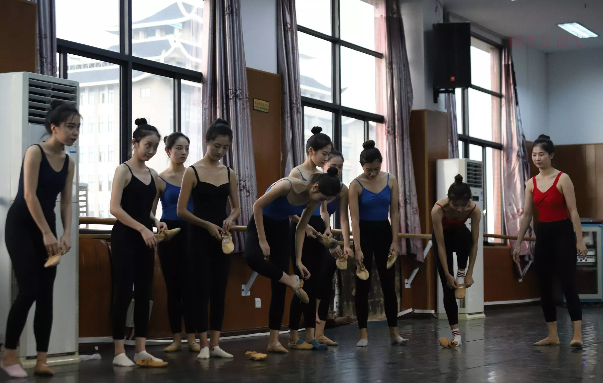 舞蹈芭裤5【126P】 W003 【大西瓜图集】