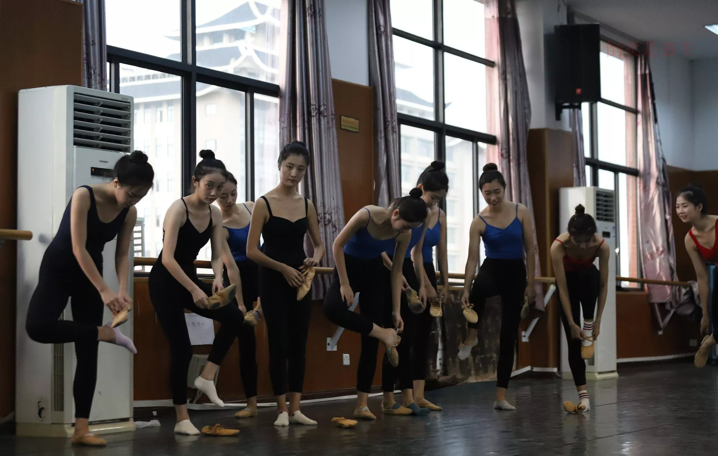 舞蹈芭裤5【126P】 W003 【大西瓜图集】