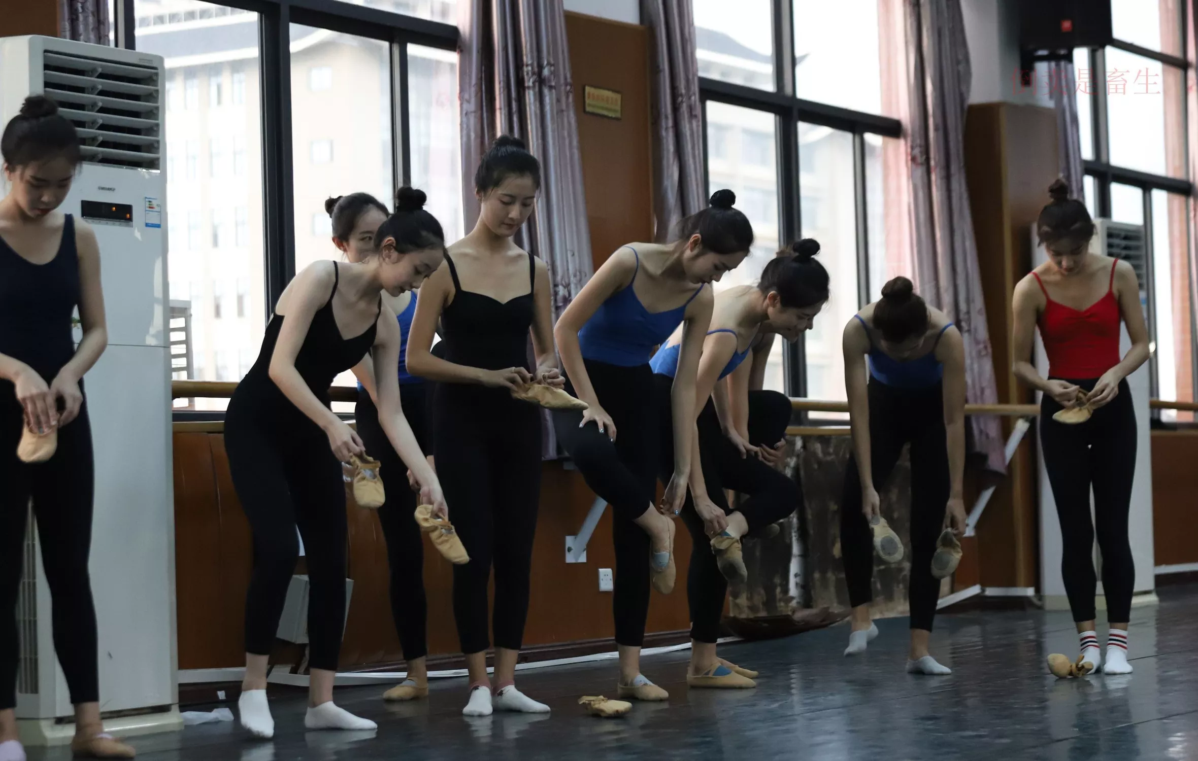 舞蹈芭裤5【126P】 W003 【大西瓜图集】