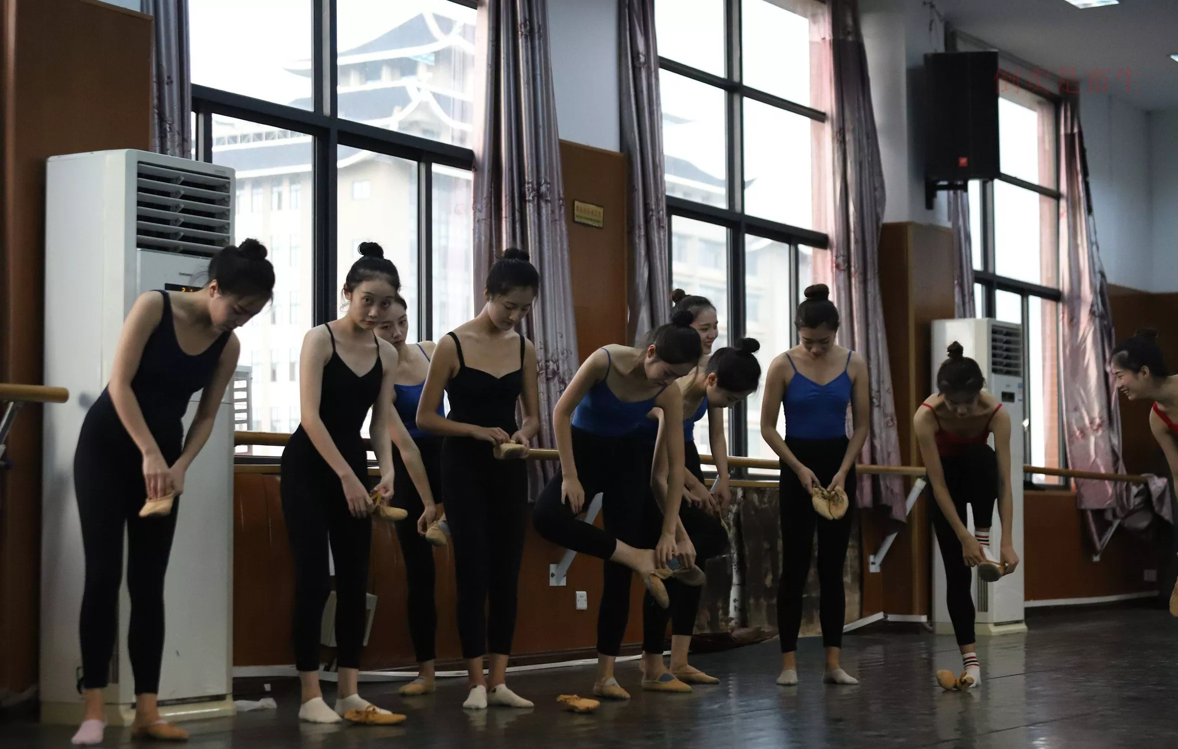 舞蹈芭裤5【126P】 W003 【大西瓜图集】